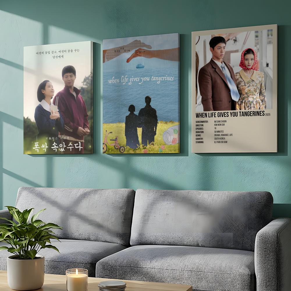 Korean TV When Life Gives You  – Korean Arts And Lifestyle recenzja i cena